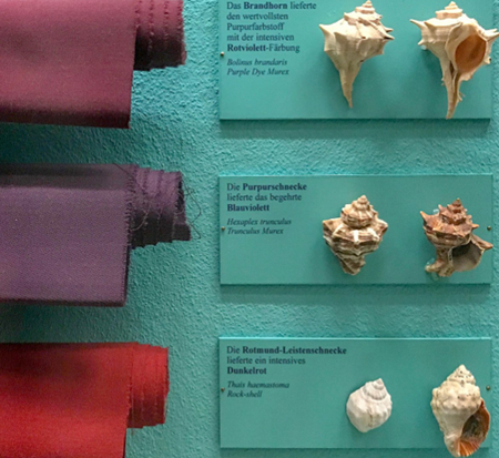 Murex Tyrian – Cores